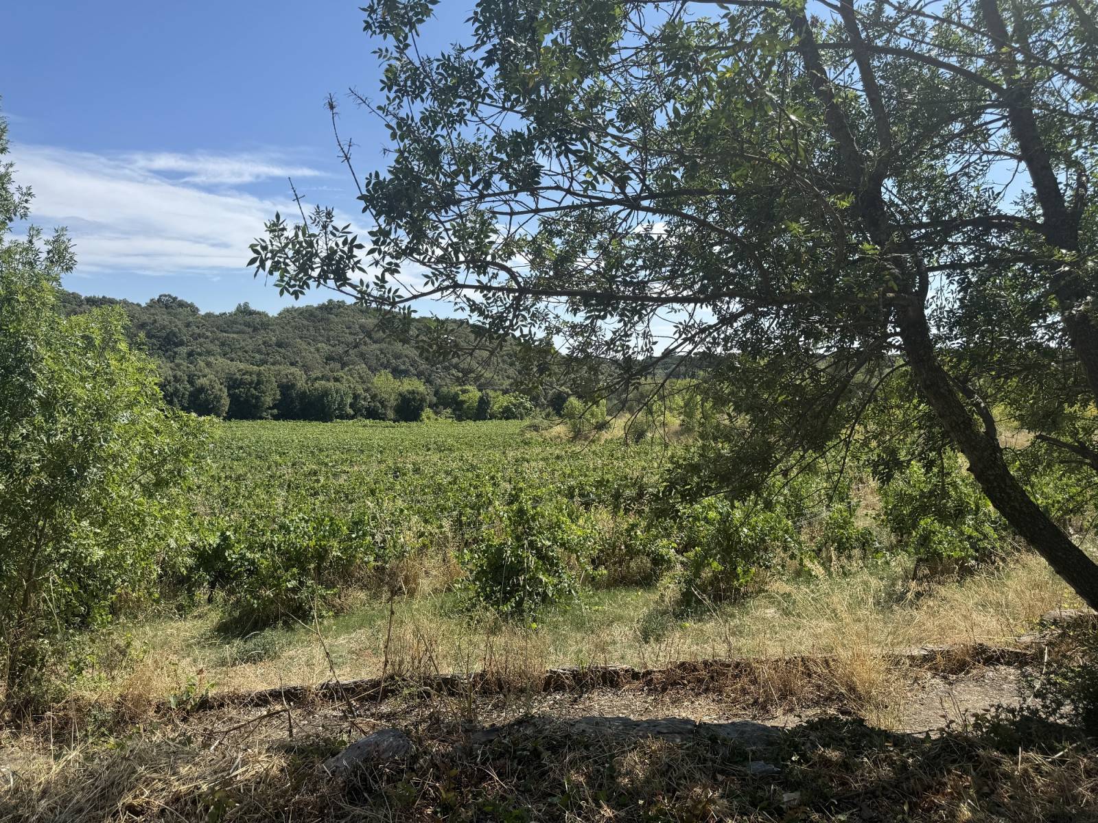 Création de maisons individuelles pas chères pour primo-accédants à Béziers 34032 dans l'Hérault