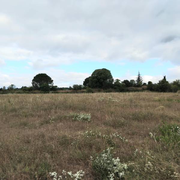 Bédarieux : Maison plain-pied 3 chambres dont une suite parentale, belle pièce à vivre, cellier et garage sur terrain de 372 m²