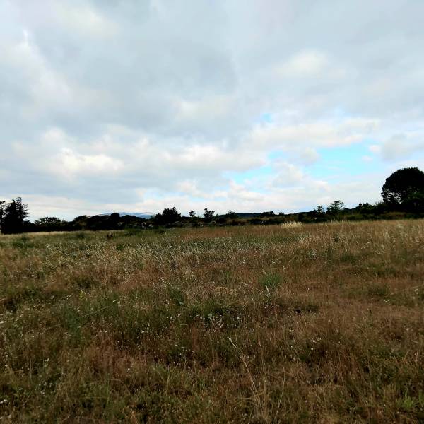 Bédarieux : Maison plain-pied 3 chambres dont une suite parentale, belle pièce à vivre, cellier et garage sur terrain de 372 m²