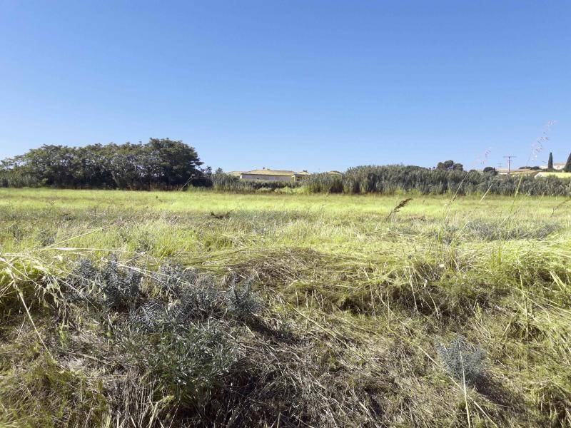 CAZOULS-LES-BEZIERS : Maison plain-pied de 124 m² habitables avec 4 chambres, suite parentale, cuisine séparée et cellier sur terrain de 514 m² proche Béziers