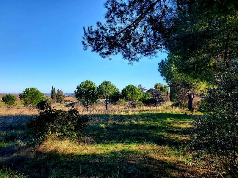 ALIGNAN DU VENT : Maison plain-pied en L avec suite parentale, bureau, 2 chambres et cellier sur terrain de 402 m² proche Pézenas, Béziers et A75