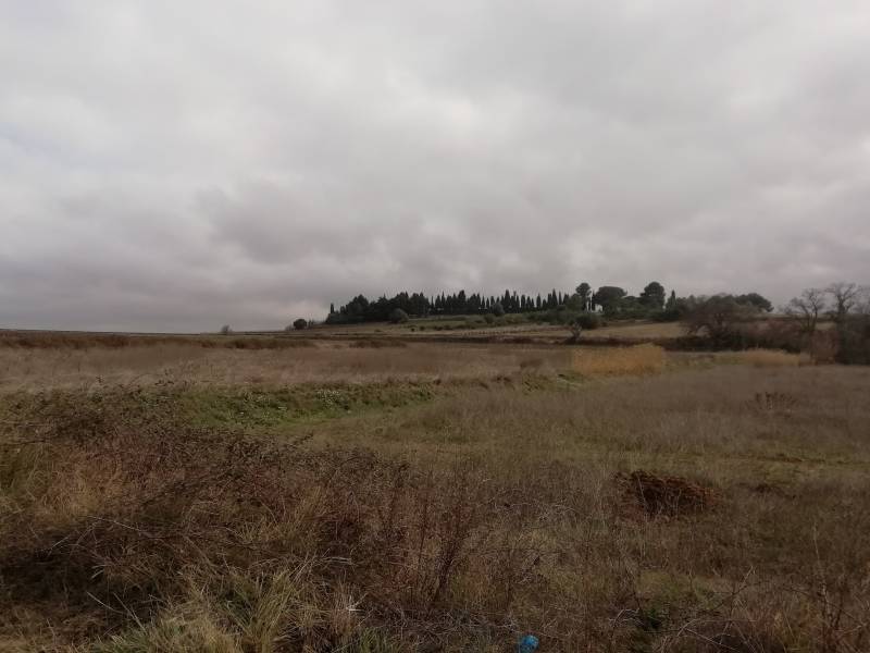 ROUJAN : Maison plain-pied avec 3 chambres dont une suite parentale sur terrain de 428 m², aux portes de Pézenas, Béziers et axe A75