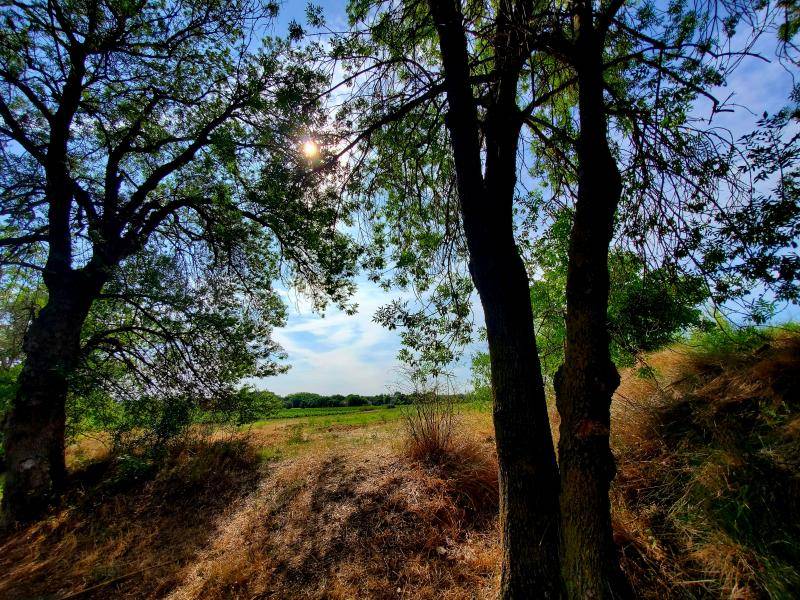 SERVIAN : Maison plain-pied contemporaine avec 3 chambres dont 1 suite parentale sur terrain de 352 m² proche Béziers, A75 et Pézenas