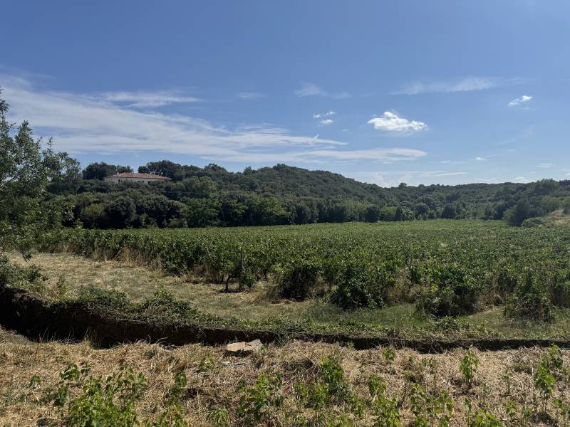 Exclusivité : Villa neuve 3 chambres dont une suite parentale + cellier + garage + terrasse carrelée sur superbe terrain avec vue dégagée à Faugères proche Bédarieux et à 20 minutes de Béziers