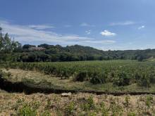 Nos prestations sur le secteur de Narbonne 11100 dans l'Aude